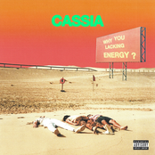 Cassia: Why You Lacking Energy?