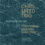 Chris Speed Trio: Platinum on Tap