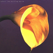 See No More by Swans