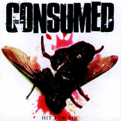 Promoter Head by Consumed