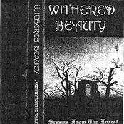 Screams From The Forest