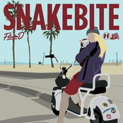 Flava D: Snakebite / Springloaded