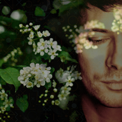 Endless Night - Single