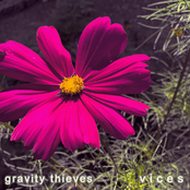 Vices