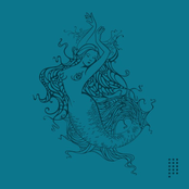 Diaspora.pt