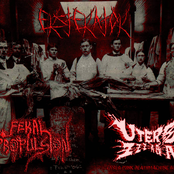 Dissection is my business, and business is good