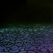 Where Would You That We Gather?