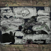 lets take the long way home