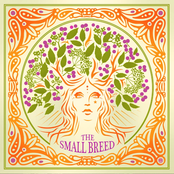 An Elderflower Parliament