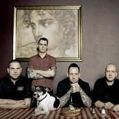 volbeat