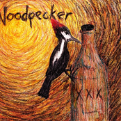 woodpecker