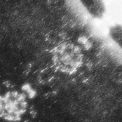 Untitled Ambient Works