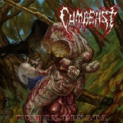 Bum Basher by Cumbeast