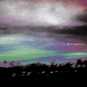 These Long Strange Nights