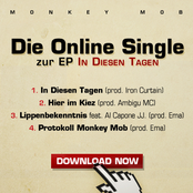 Online Single "In Diesen Tagen" Preview