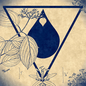 Live Bacon: 3/24/18, Sprout Music Collective, Westchester, PA