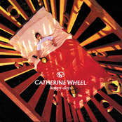 Judy Staring At The Sun by Catherine Wheel