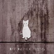 Sometimes Forever by David & The Citizens