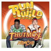 Run Wild (feat. NoMBe) - Single