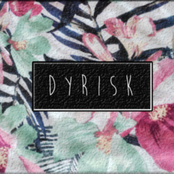 dyrisk