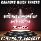 Karaoke Quick Tracks : Like a Stone (Karaoke Version) (Originally Performed By Audioslave)