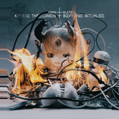 Krude Theorien + bizarre Rituale