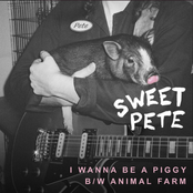 I Wanna Be A Piggy