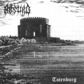 Totenburg / Die Eiche