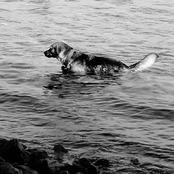 Шшш...Свиданија?