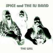 Fat Snakes And Robots by Spice And The Rj Band