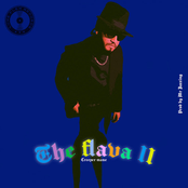 The Flava II