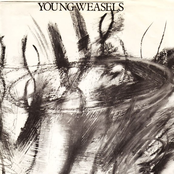 Twist & Burn / Happy Feathers