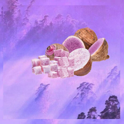 Taro