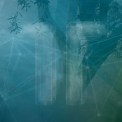 Glass Bridge - Single