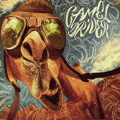 Camel Driver