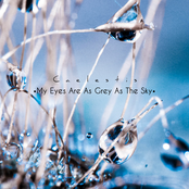 My Eyes Are As Grey As The Sky