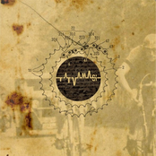 Peleton zachwianych rowerzystów