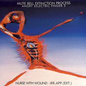 Mute Bell Extinction Process (Angry Eelectric Finger 3)