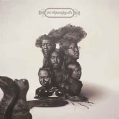 รักสนิยม