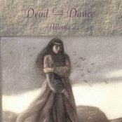 Swans by Dead Can Dance