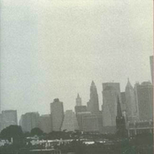 The Wonders of the New New Testament