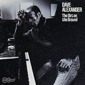 Dave Alexander: The Dirt On The Ground