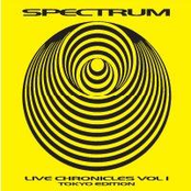 Rock N Roll Is Killing My Life by Spectrum