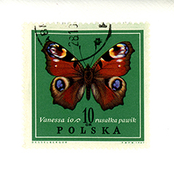 Not Knowing (for Eliane Radigue)