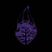 Final March / Towards the Light