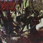 Inhuman Gore Holocaust