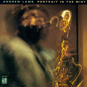 Portrait in the Mist