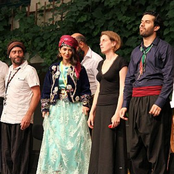 Live in Holland Festival