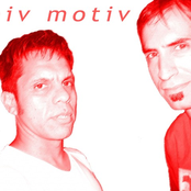 leiv motiv