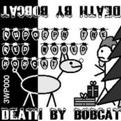 Rudolph The Red Nosed Bobcat